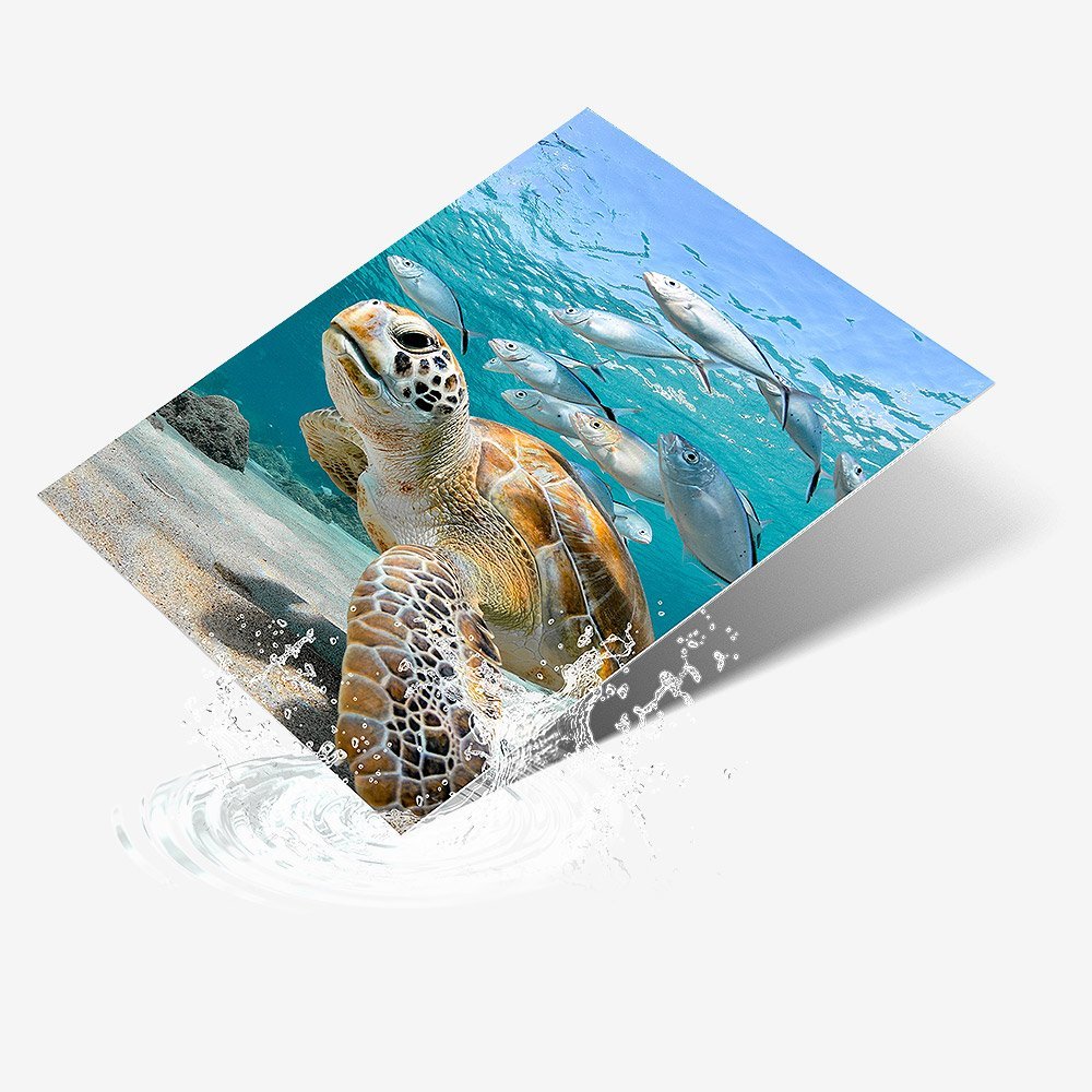 Metal photo prints