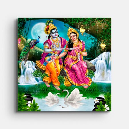 Radha Krishna Beautiful Wall Painting