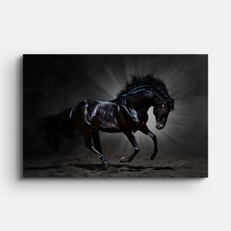 Black Horse Premium Wall Painting